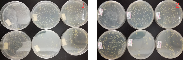 “超聲波處理對稻谷表面微生物的影響”發(fā)表論文啦??！