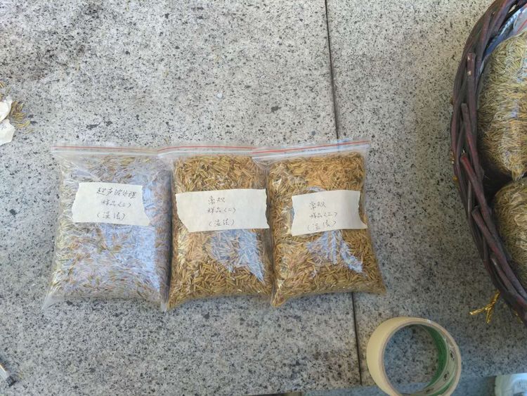 “超聲波處理對稻谷表面微生物的影響”發(fā)表論文啦??！