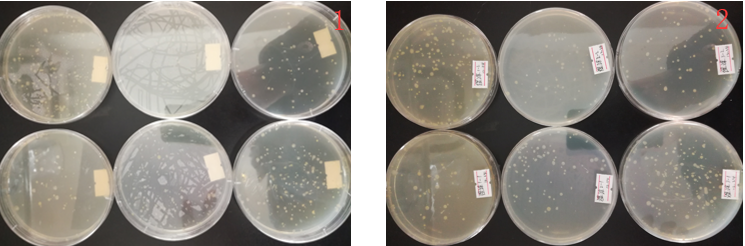 “超聲波處理對稻谷表面微生物的影響”發(fā)表論文啦！！