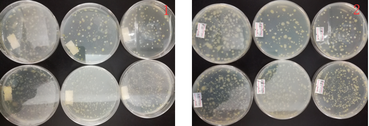 “超聲波處理對稻谷表面微生物的影響”發(fā)表論文啦??！