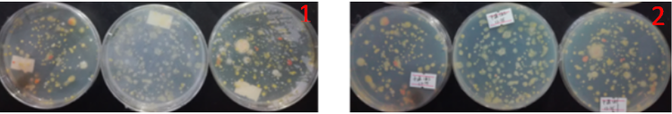 “超聲波處理對稻谷表面微生物的影響”發(fā)表論文啦！！